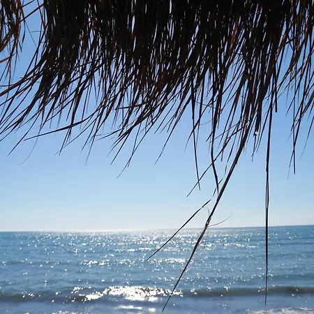 Vintage Шенджин